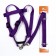 Set "Basis", leash 120 x 1.5 cm, OG 32-46 cm, purple