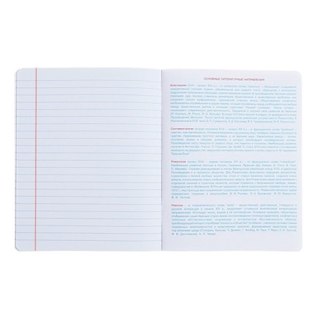 A notebook “Hints”, 48 sheets in a ruler, “Literature”, coated cardboard, matte lamination, Touch varnish, OFSET block-5