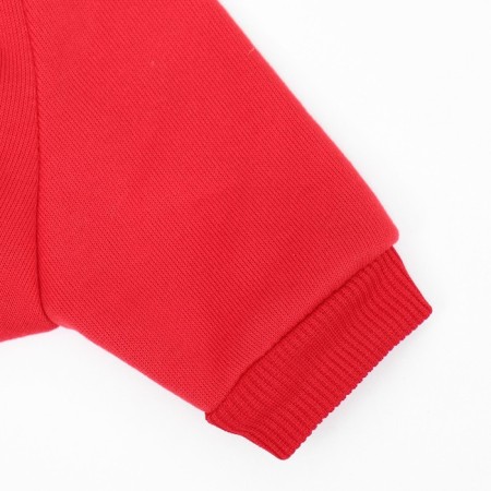 New Year's sweatshirt for animals "Gift", Size XL (DS 40, OG 50 cm), Red-9