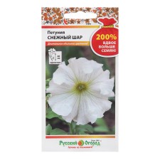 Flowers of Petunia 