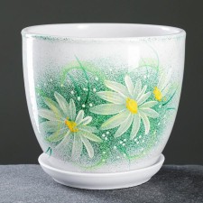 Flower Gerbera Green Potter 2.5 liters