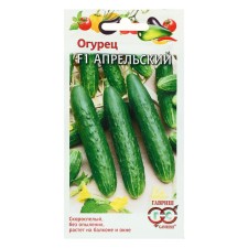 Cucumber seeds 