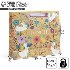 Gift Craft horizontal package, packaging, “Present”, 30 x 26 x 9 cm