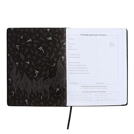 School diary for grades 1-11, fiery dragon, solid cover, artificial leather, application, pancake embossing, foil embossing, universal cheat sheet, 48 sheets, block 80g/m2-5