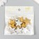 Beads for creativity plastic "Silver/gold" matte set 20 grams 0.6x2.9x2.9 cm