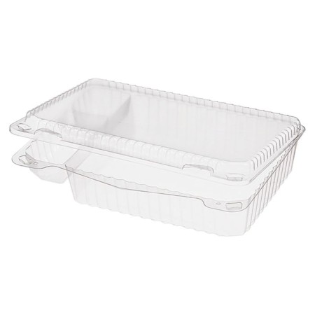 A container with an insoluble cover of RK-25s4, rectangular, size 26.5 x 19.3 x 5.7 cm, volume of 500 ml