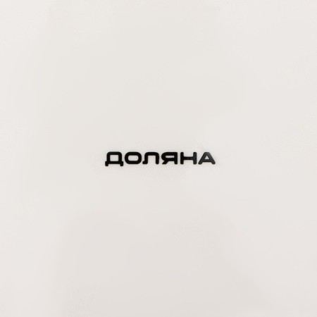 Serving share "Happy New Year", 23.5 × 14 × 3 cm-4