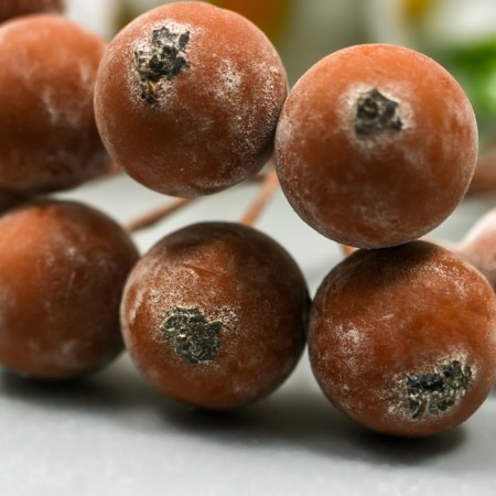 Decor for creativity "Berry of Rowan" 1 bouquet = 10 berries brown yoke 10x1.5 cm-3