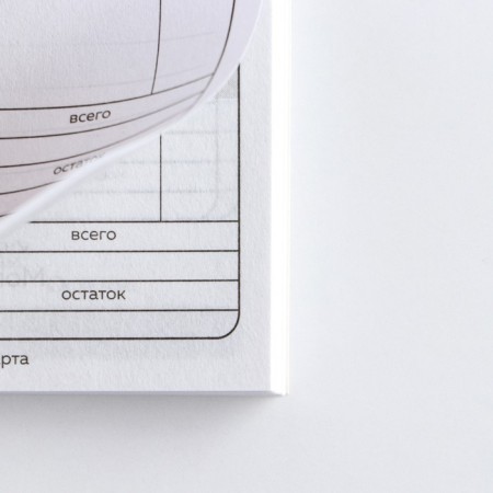 Notepad for planning finance "Dream"-10