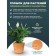 Kashpo for flowers and plants, 30l new terracotta 41x41x33cm