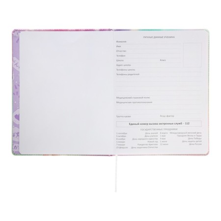 Universal diary for grade 1-11 Girl, solid cover, artificial leather, silk-screen printing, lies, 80 g/m2-4