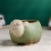 Pot "Lucky Sheep" 11x9x8cm