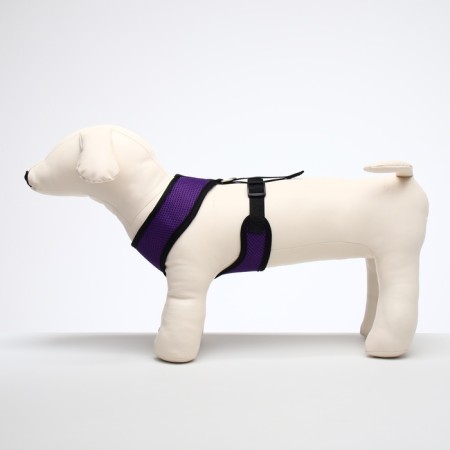 The slide is soft from neoprene, size L, Osh 39 cm, OG 36-46 cm, purple-1