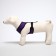 The slide is soft from neoprene, size L, Osh 39 cm, OG 36-46 cm, purple