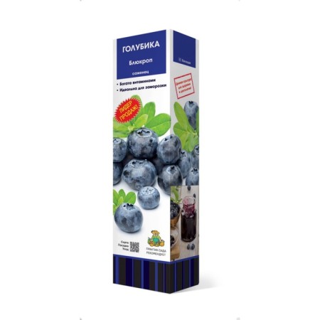 High -growing blueberry "Blacop" 1 pc, tube, spring 2025