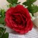 Artificial flowers "rose gallant" 8x62 cm, red
