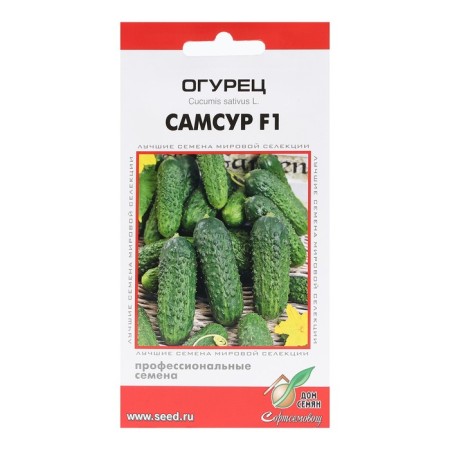 Samsur cucumber seeds, f1, 6 pcs