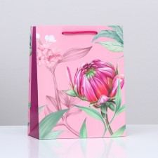 Gift package 