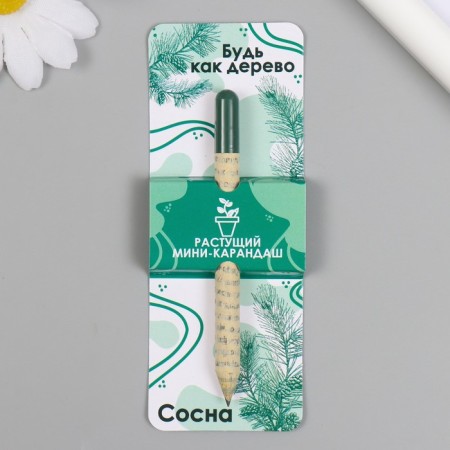 Growing gift pencils mini be like a tree "Pine"