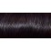 Hair dye L’Oreal Preference Recital "Notre Dame", tone 5.21, deep-light chestnut