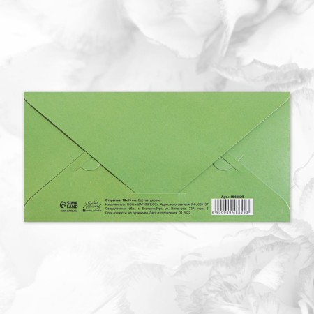 An envelope for money with a wooden element "Happy Birthday" Panda, 16.5 x 8 cm-2