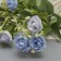 Bouquet "Rose Dwarf Galant" 30 cm, mix