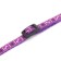The two -layer collar with the fastx "Bones and legs", 30 x 1 cm, purple