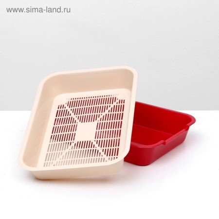 Medium toilet with a mesh of 36 x 26 x 6.5 cm, beige/red-5
