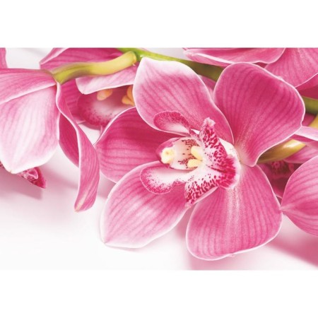 Wallpaper "Orchid", 4 sheets, 200 × 140 cm