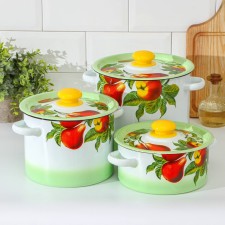 Set of pots “Summer Gifts”, 3 subjects: 2 l, 3.5 l, 5.5 l, enameled covers, induction