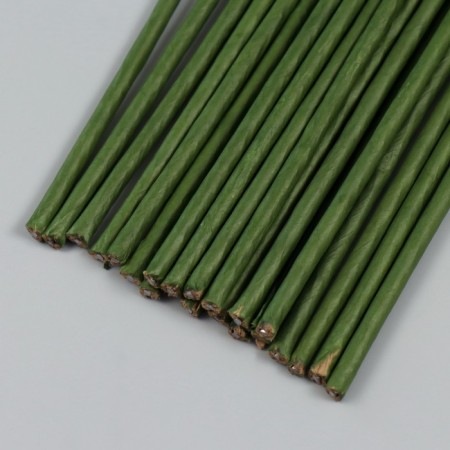 Wire for the manufacture of artificial colors "Green" winding paper 50cm section 0.5 cm 10424-2