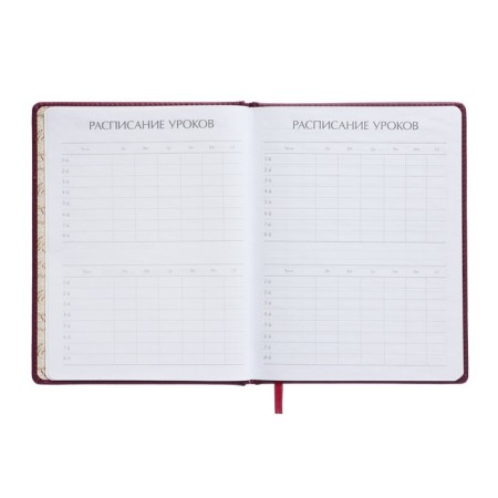 Universal diary for grades 1-11, 48 sheets, Velvet, solid cover, artificial leather, thermoting, liesse, Burgundia-5