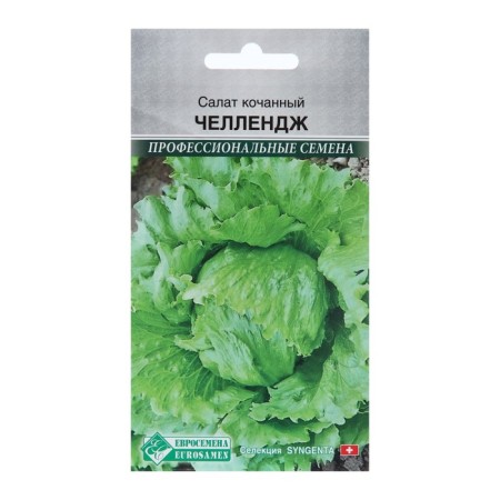 Salad Seeds "Challenge", 15 pcs