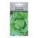 Salad Seeds "Challenge", 15 pcs