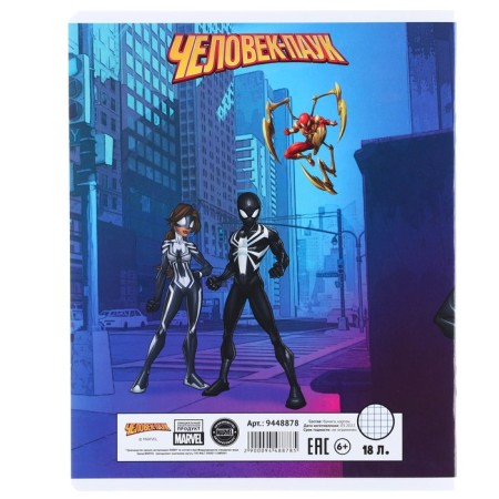 A notebook in a cage 18 sheets, 5 types of mix, cover coated cardboard, spider-man-4