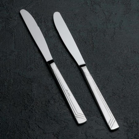Knife table "Appetite", length = 22 cm, thickness = 2 mm, silver color