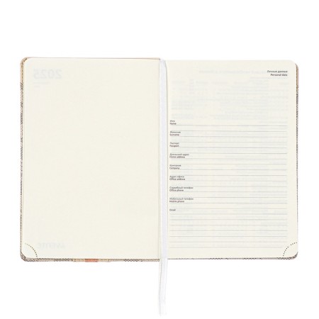 Dated 2025 DATA A5 168 sheets, DEVENTE. Expert, integral cover to leatherette, pocket, perforation, liesse, cream block 70 g/m2, gray-5