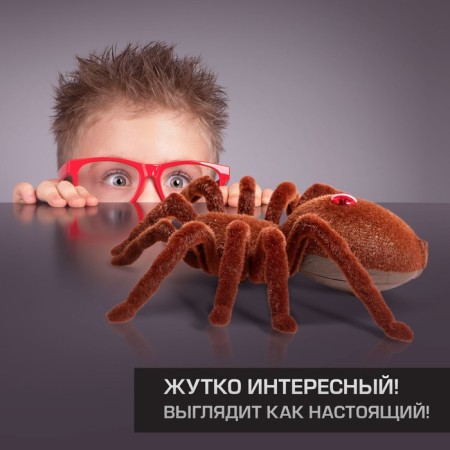 Radio -controlled spider "Tarantula", works on batteries, lighting effects-3