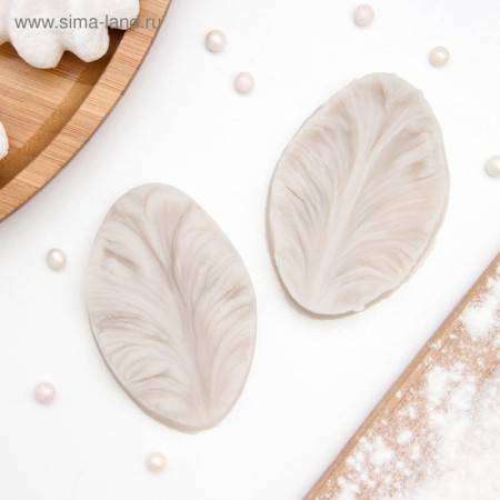 Mold "Leaf of Tropical Plants", silicone, 2 pcs, 6.5 × 4 × 2.3 cm, color mix-7