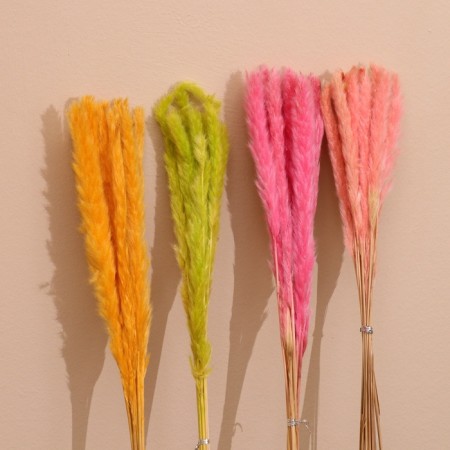 Set of dried flowers 80 cm (10 pcs) mix-2