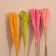 Set of dried flowers 80 cm (10 pcs) mix