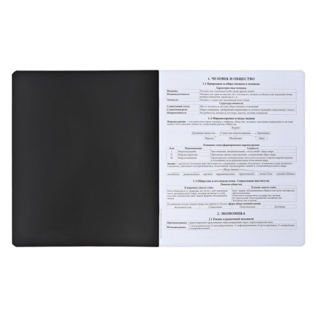 A set of subject notebooks 48 sheets, 12 pieces, Erichkrause "Ves in the root", plastic cover silk-screen covers, Blok Offset 100%, information block-5