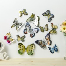 Magnet Plastic 