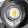 Studios Light Greenbean Fresnel 300 LED X3 DMX