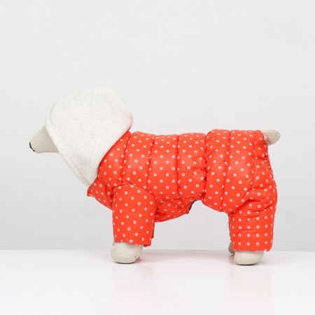 Assumes "for a walk", size 10 (DS 21 cm, OG 34 cm, Osh 24 cm), orange-3