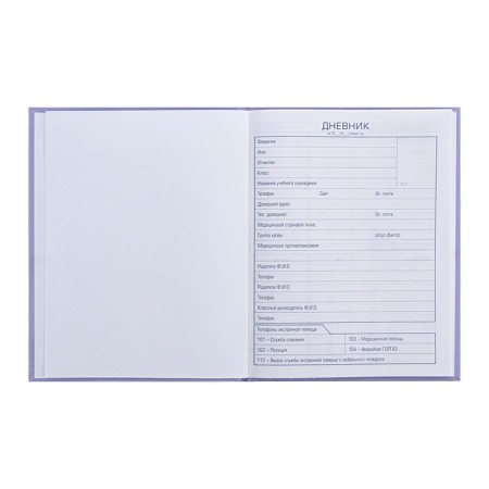 Universal diary for grades 1-11 My Plush Friend, solid cover, glossy lamination, sparkles, 40 sheets-4