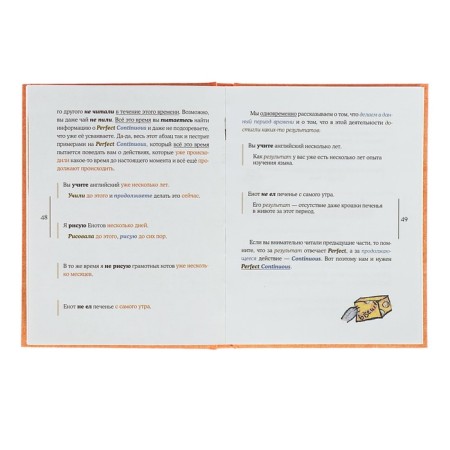Raccoon-polyplota. Learning English with raccoons-polyplotes. Belovitskaya A.-3