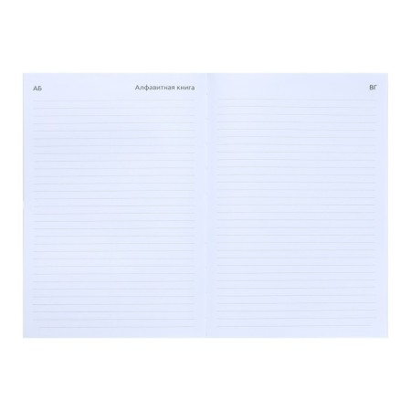 Leduced Diary A5, 160 sheets, attomex.Rigent, solid boumvinyl cover with foam rubber, liesse, block 70 g/m2, silver-9