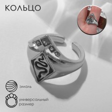 The ring 