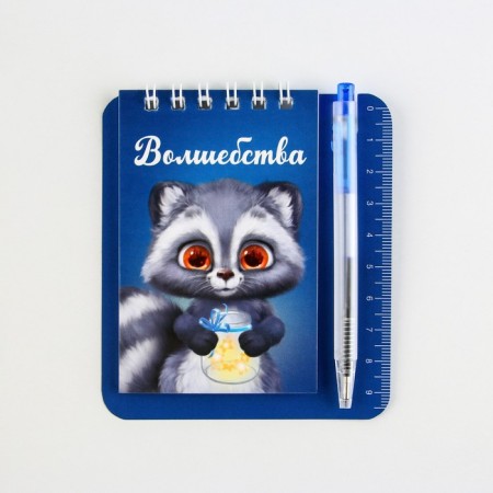 Gift set by notebook and mini-hand "Raccoon"-8